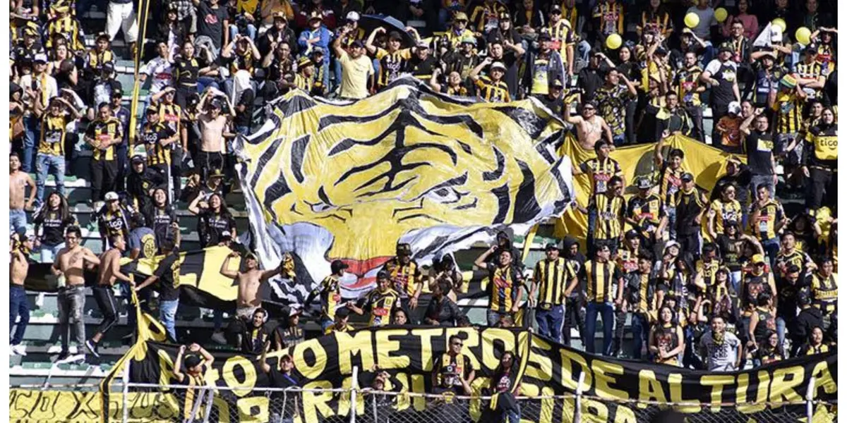 Los hinchas atigrados estarían molestos